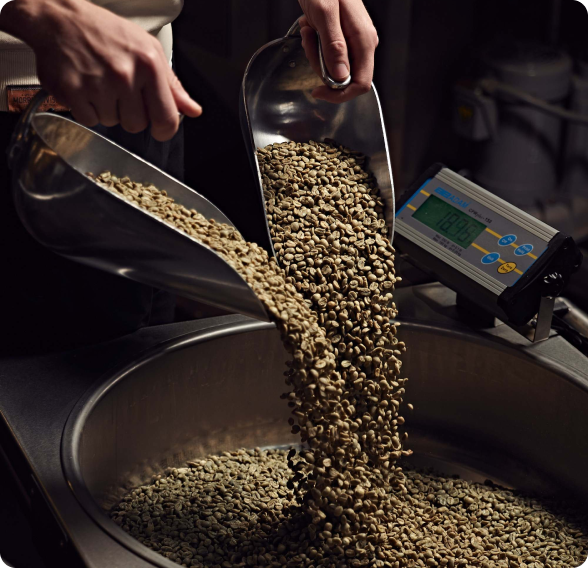 Grüne Kaffeebohnen werden in die Trommel der ViCAFE Rösterei eingefüllt – der erste Schritt zu frisch geröstetem Spezialitätenkaffee in Zürich