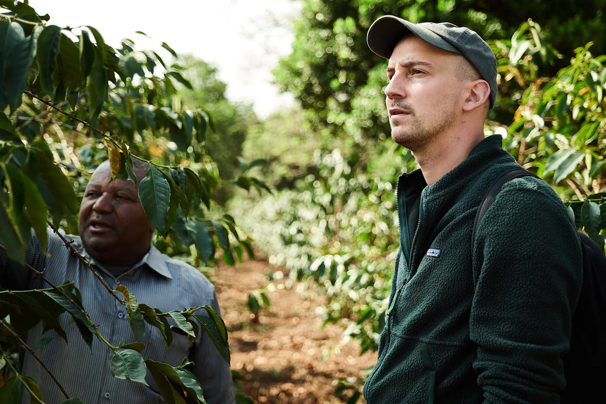 ViCAFE Impact: Besuch auf einer Kaffeefarm – nachhaltige Zusammenarbeit mit Kaffeebauern für fairen Specialty Coffee.