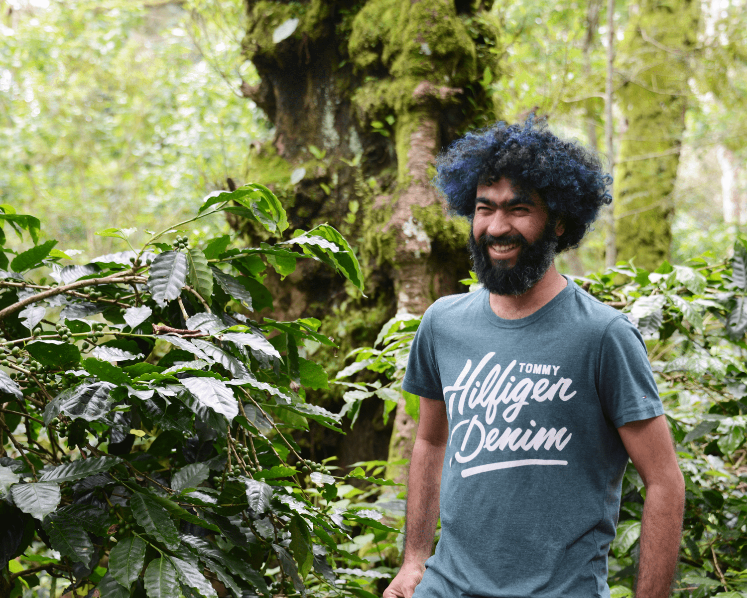 BIODYNAMIC COFFEE FARMING IN THE HEART OF INDIA