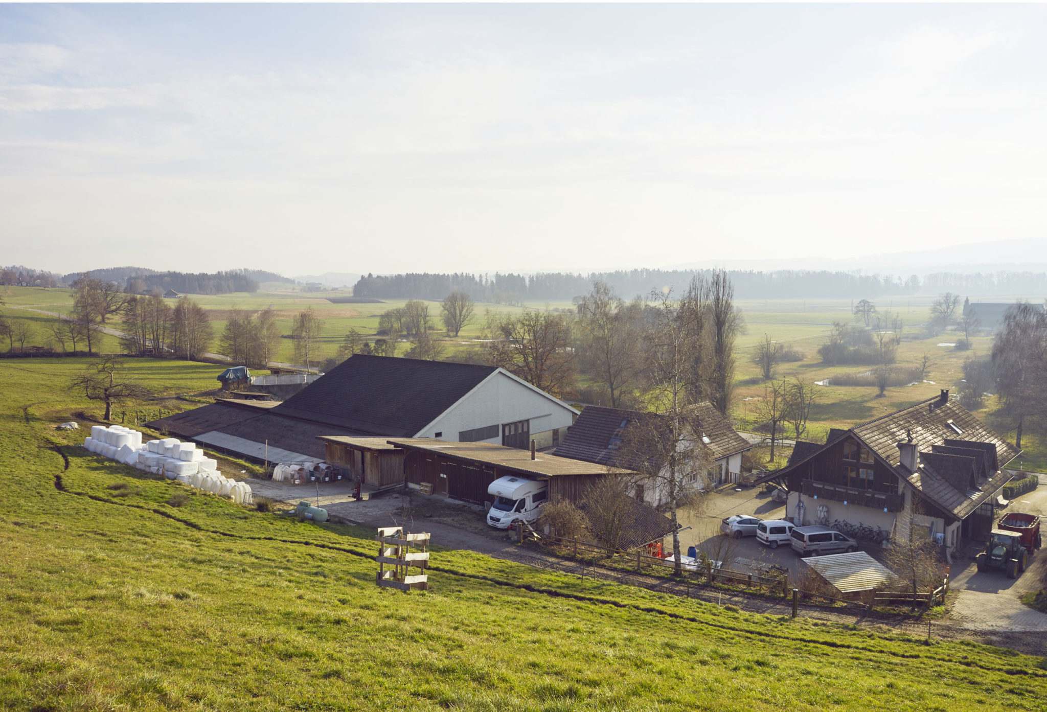 vicafe's milk supplier farm Birkenhof in uster switzerland