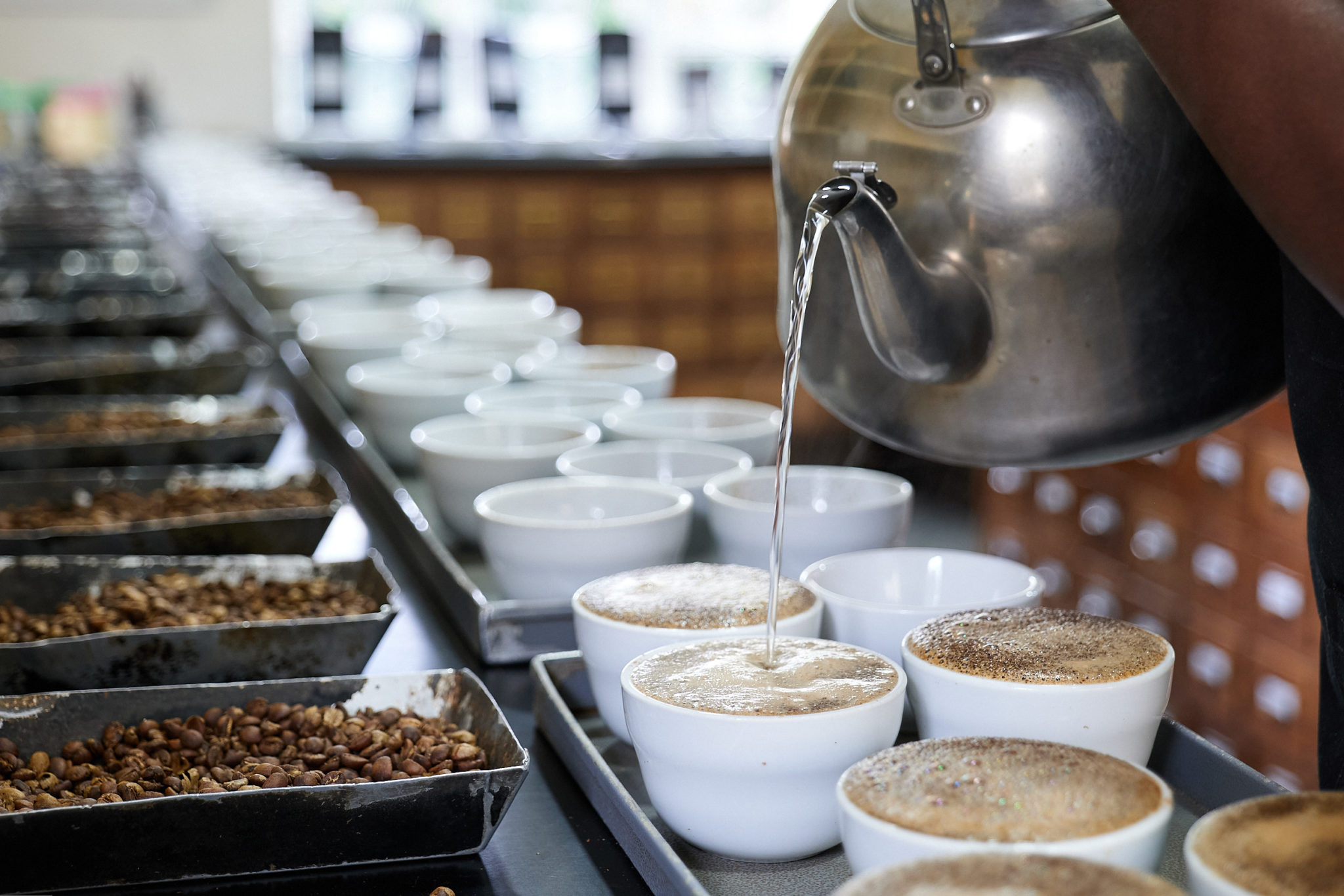 Kenya 2021: Coffee cupping at Taylor Winch Kenya